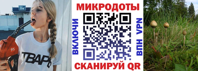Галлюциногенные грибы мицелий  Нововоронеж 