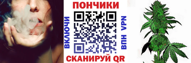 гидра рабочий сайт  Нововоронеж  Шишки марихуана SATIVA & INDICA 